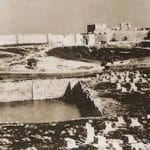 Relations US-Israël : vraiment impossible, la petite soeur, par Israël Shamir