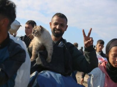 Un chat rescapé fête aussi la victoire palestinienne
